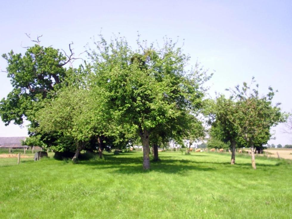 Chambres D'Hote Honey Orchard Farm Vessey 외부 사진