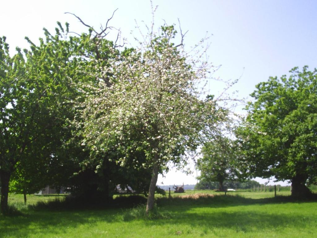 Chambres D'Hote Honey Orchard Farm Vessey 외부 사진