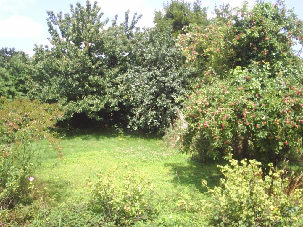 Chambres D'Hote Honey Orchard Farm Vessey 외부 사진